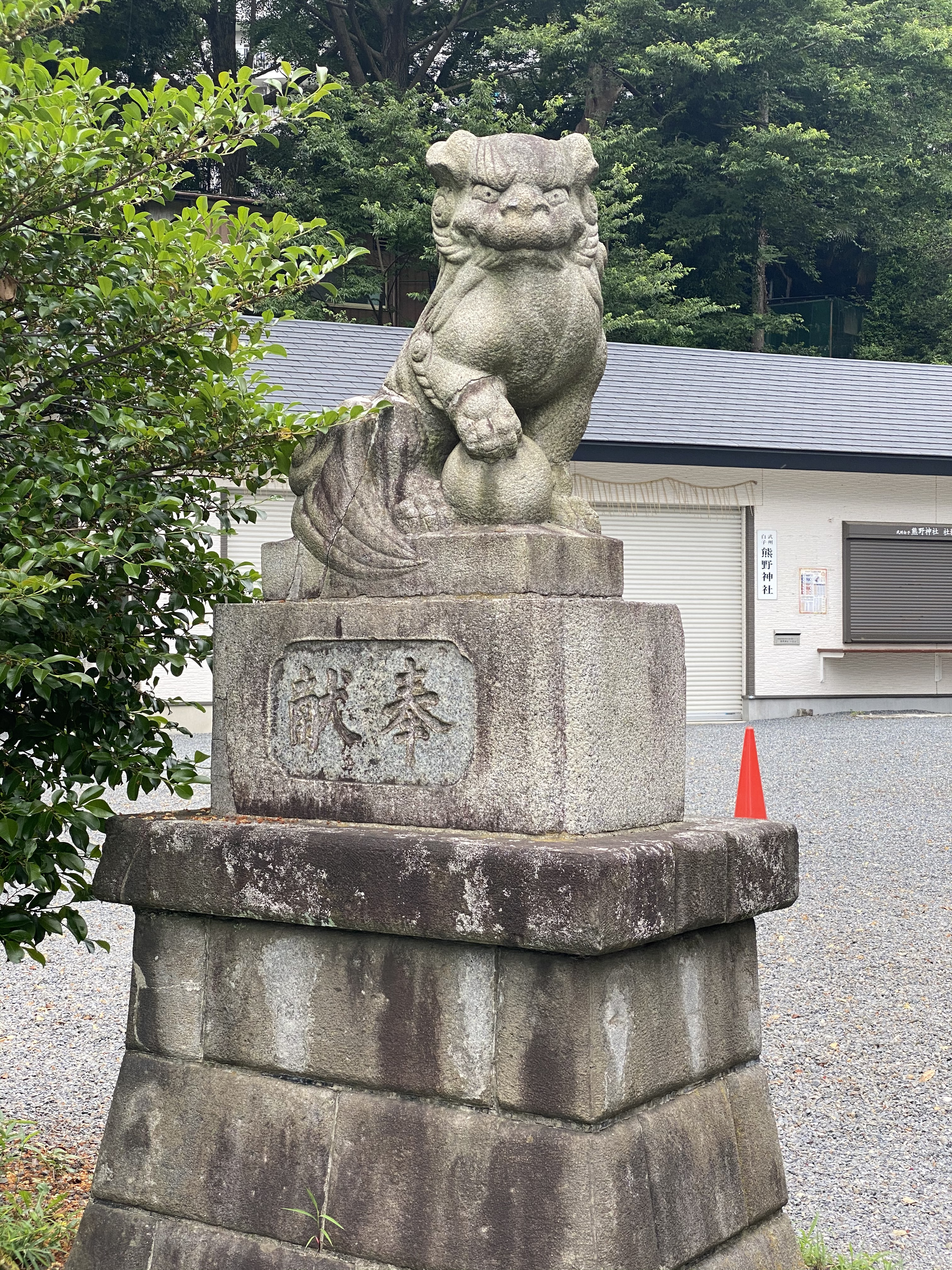 武州白子熊野神社　狛犬（左）
